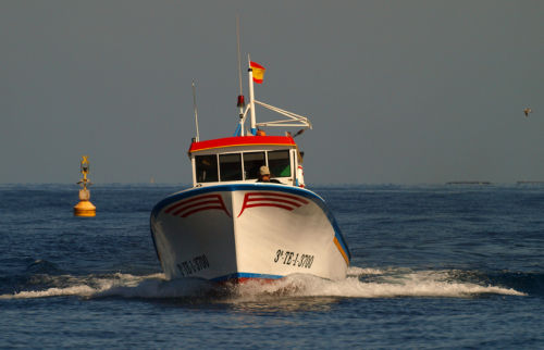 Fishing off Tenerife